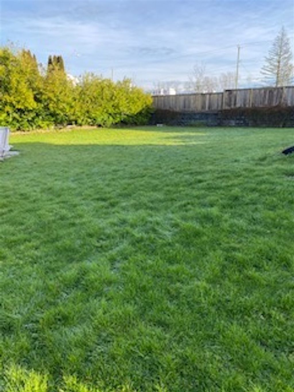 listing image 1102256935678322222