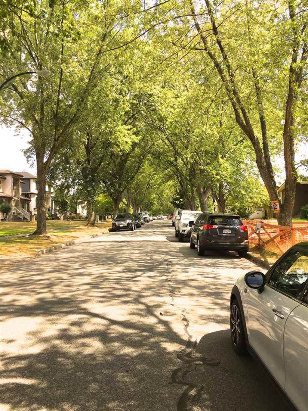 listing image 1109959506031658893