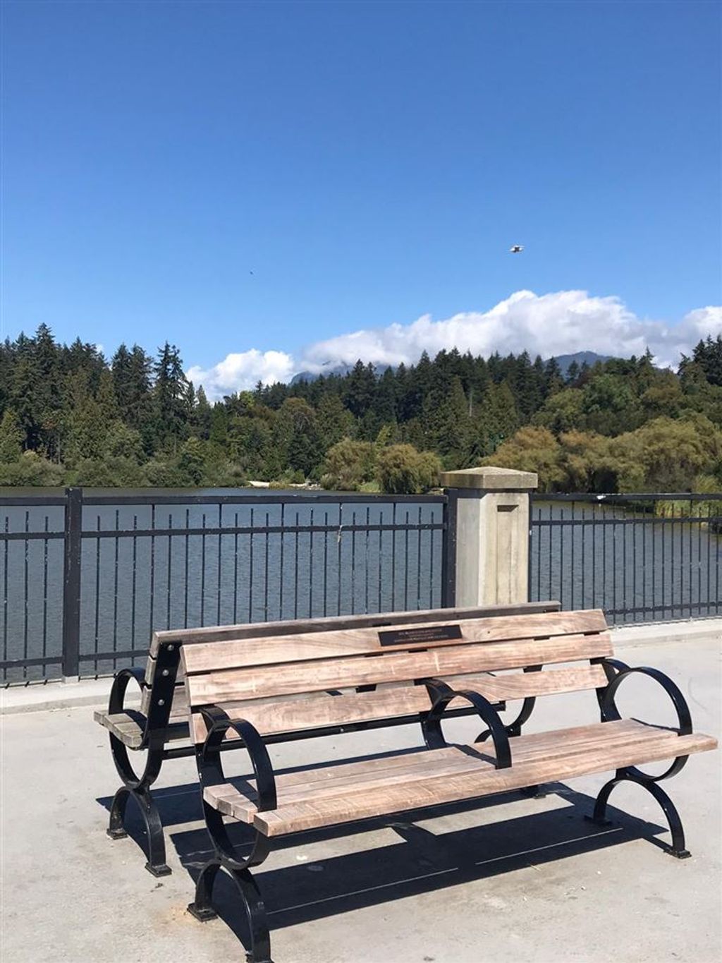 listing image 1102298743924523225