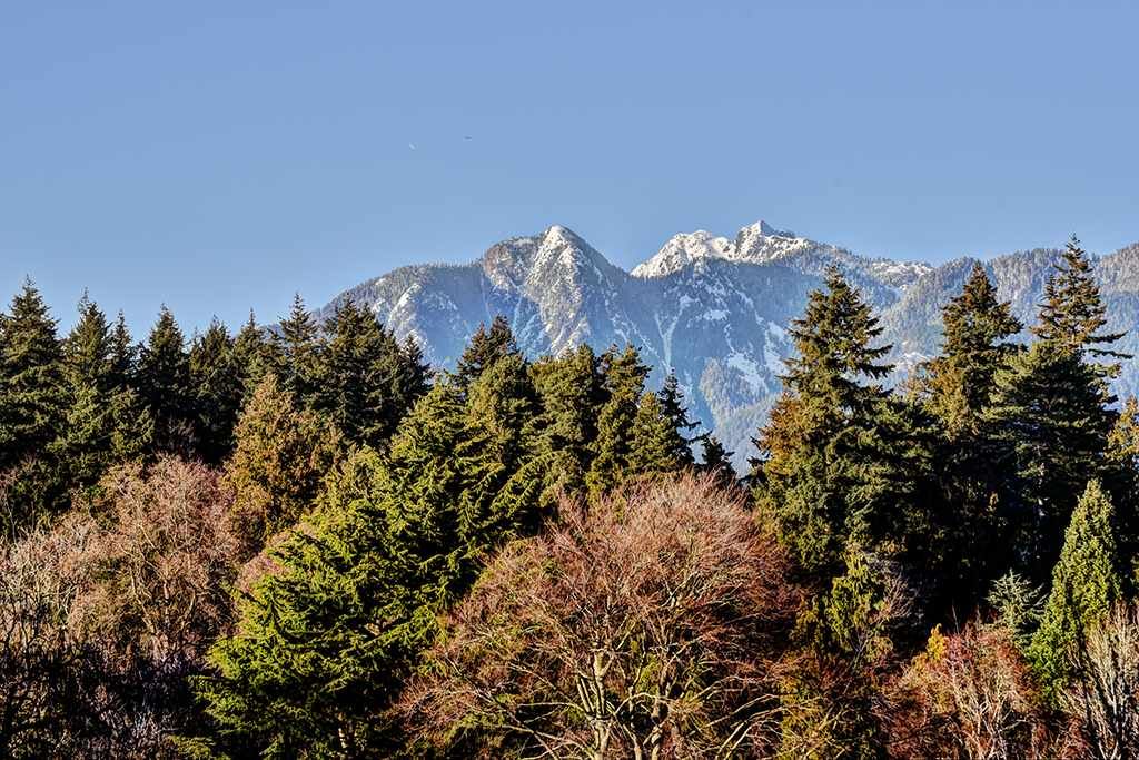 listing image 1106616355154247999