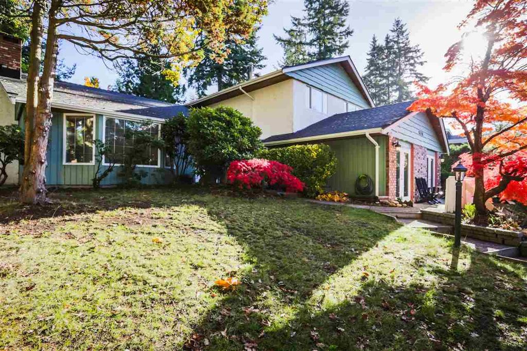 listing image 1104943823832354129