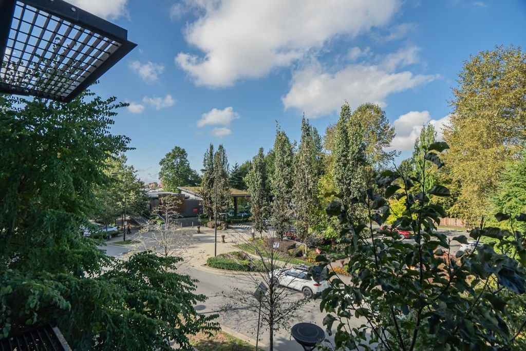 listing image 1106875600030335566