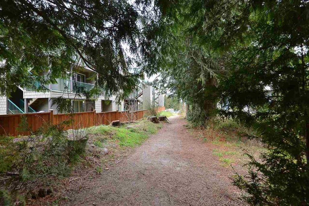 listing image 1100220079973510562