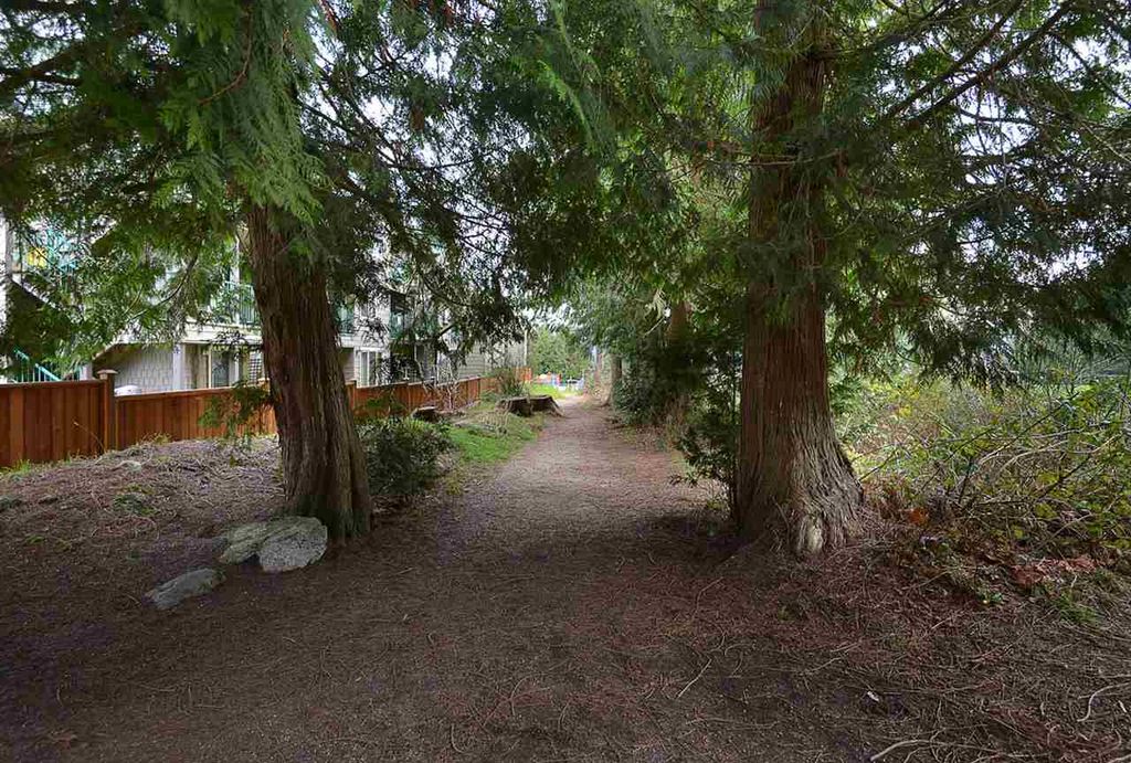 listing image 1108183665883397715