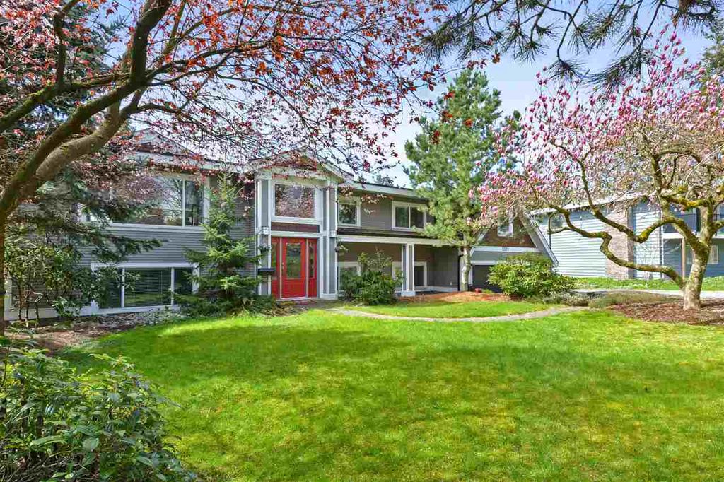 listing image 1101715175510761682