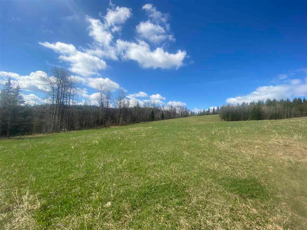 listing image 1105773889944685888