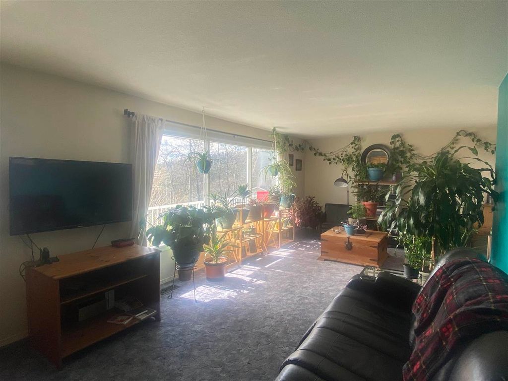 listing image 1103345045158145232