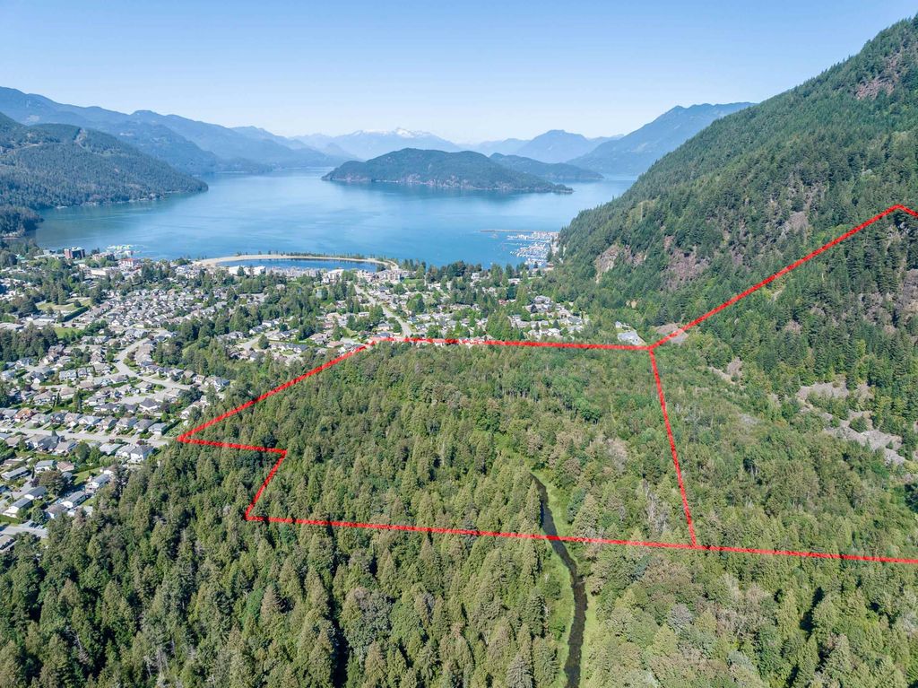 listing image 1104349380408195572
