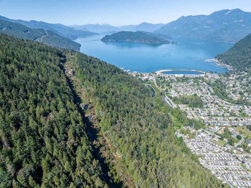 listing image 1104288766828612505