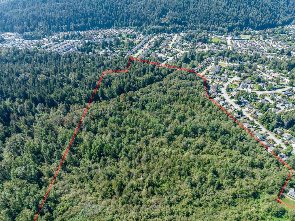 listing image 1109739280866302669