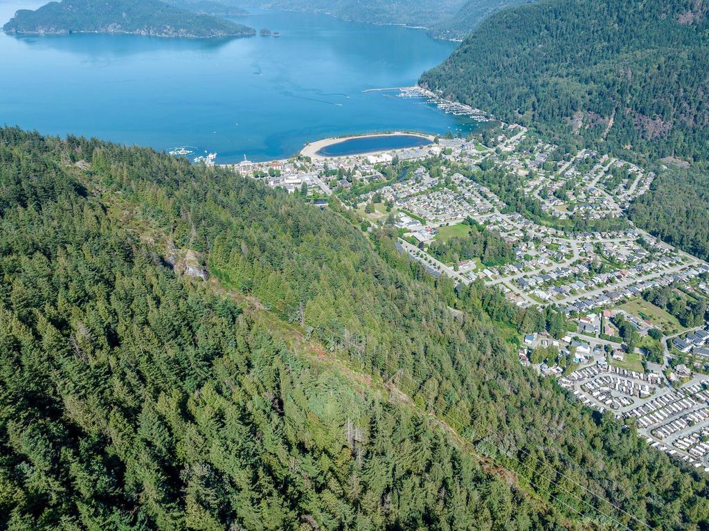 listing image 1101387757784943107
