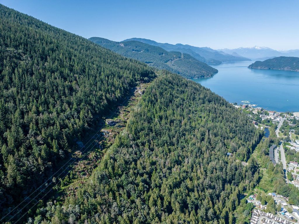 listing image 1105023476011802497