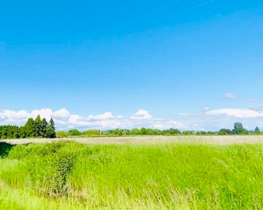 listing image 1100599342608080990