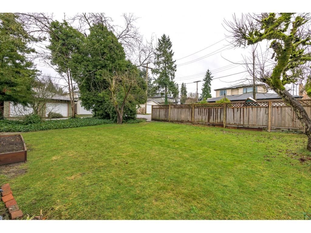 listing image 1106162541548491806