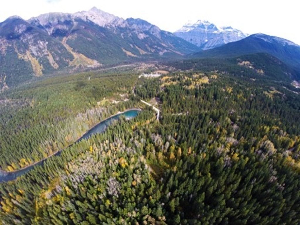 listing image 1107899246809339651