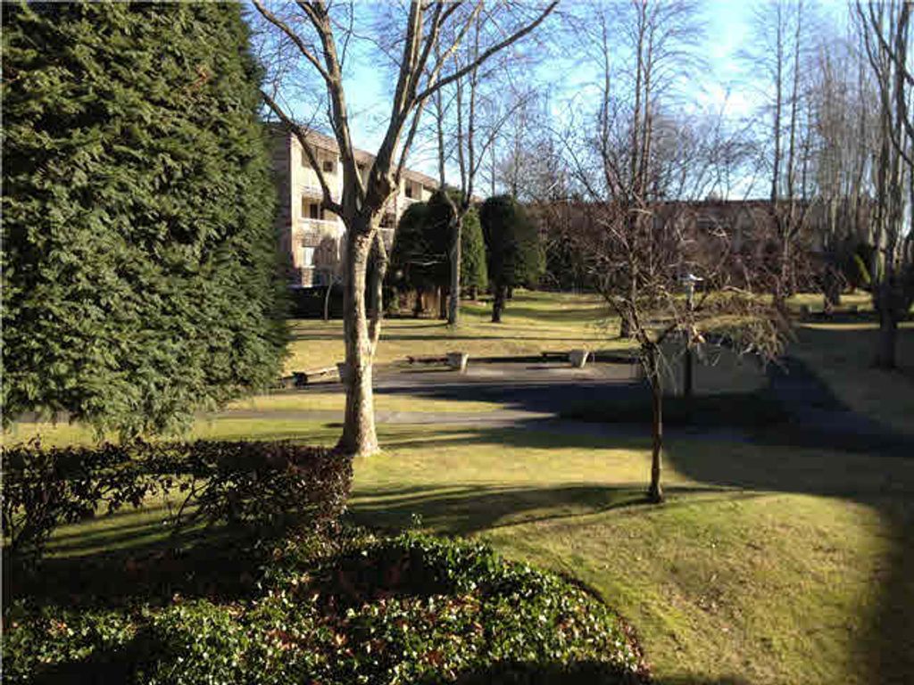 listing image 1104201894931912714