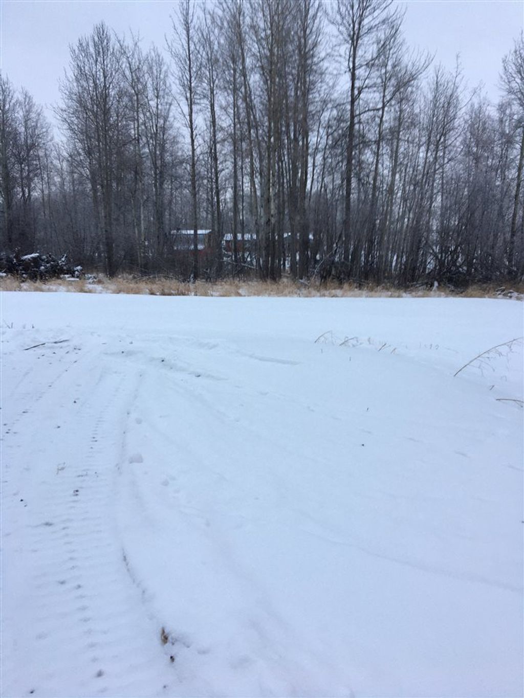 listing image 1108284772131056406