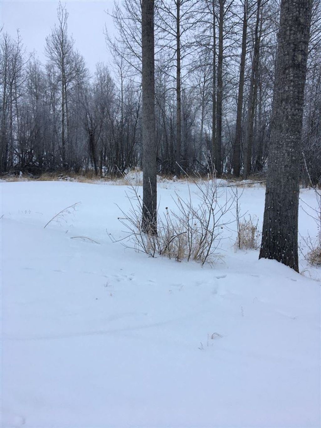 listing image 1108194267123545932