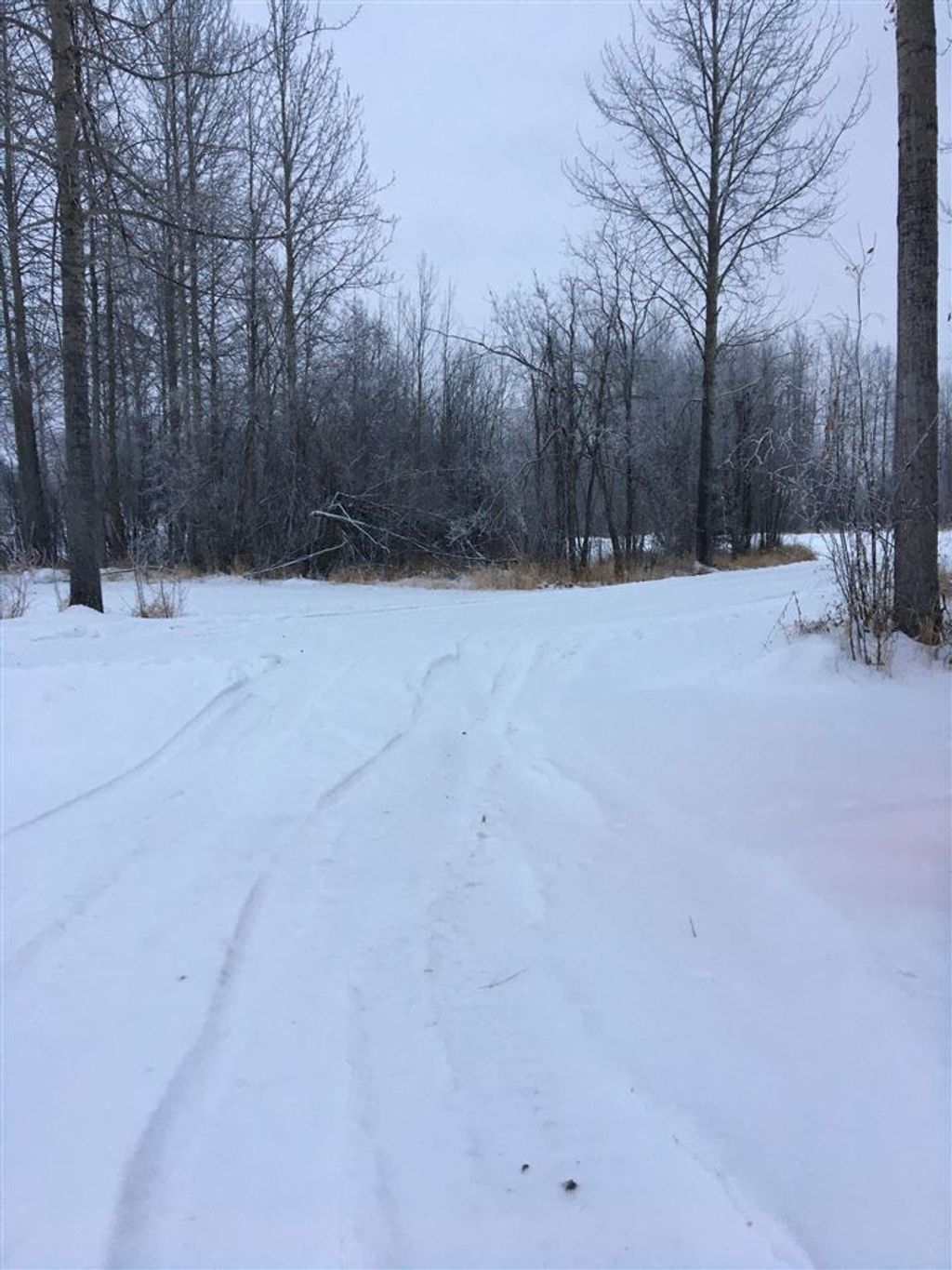 listing image 1108254278033637173