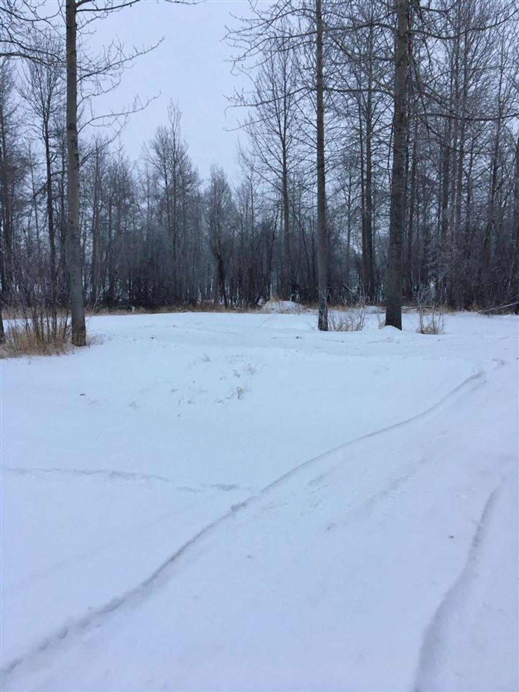 listing image 1100241189265551517