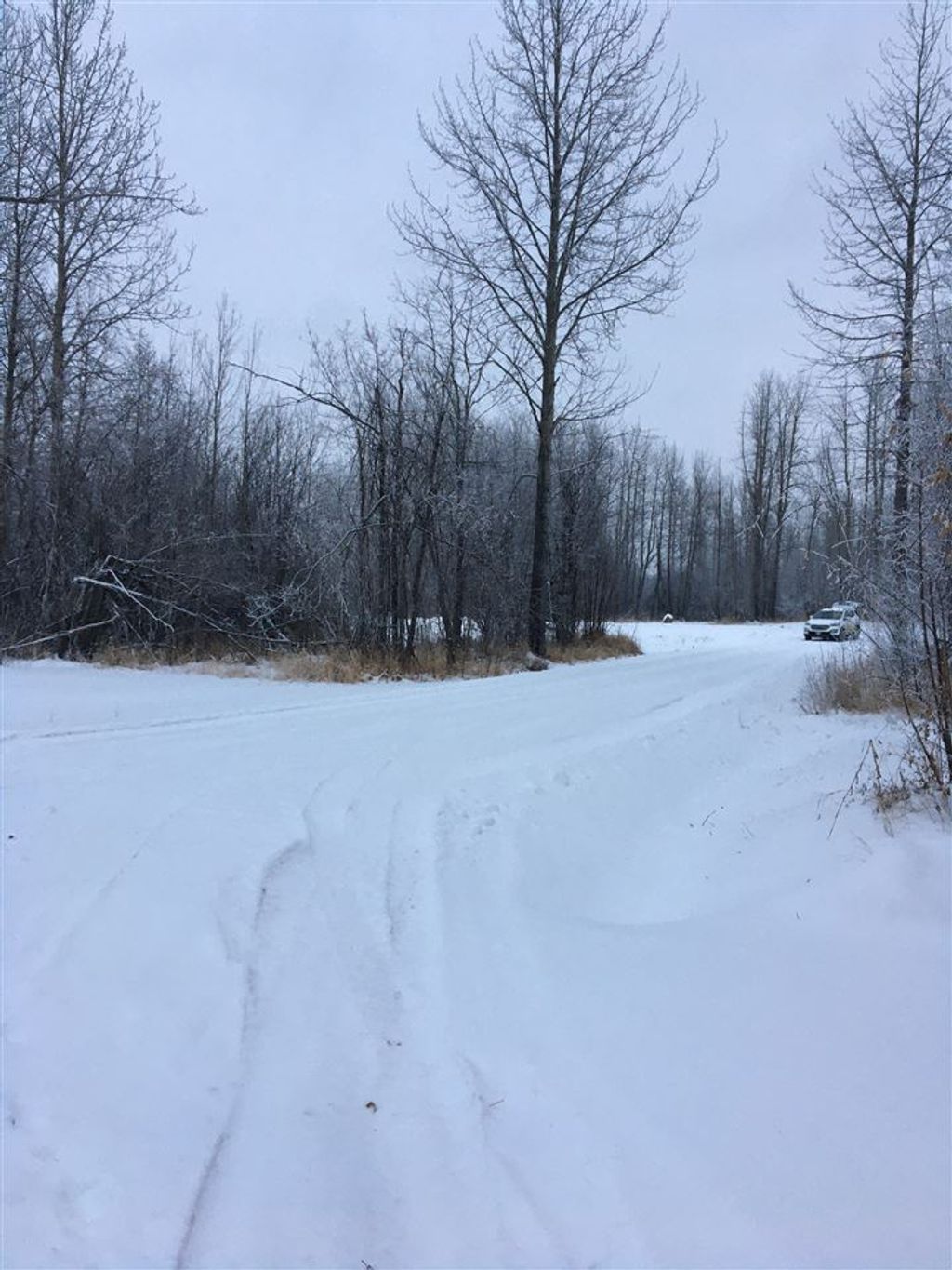 listing image 1104022910380135287