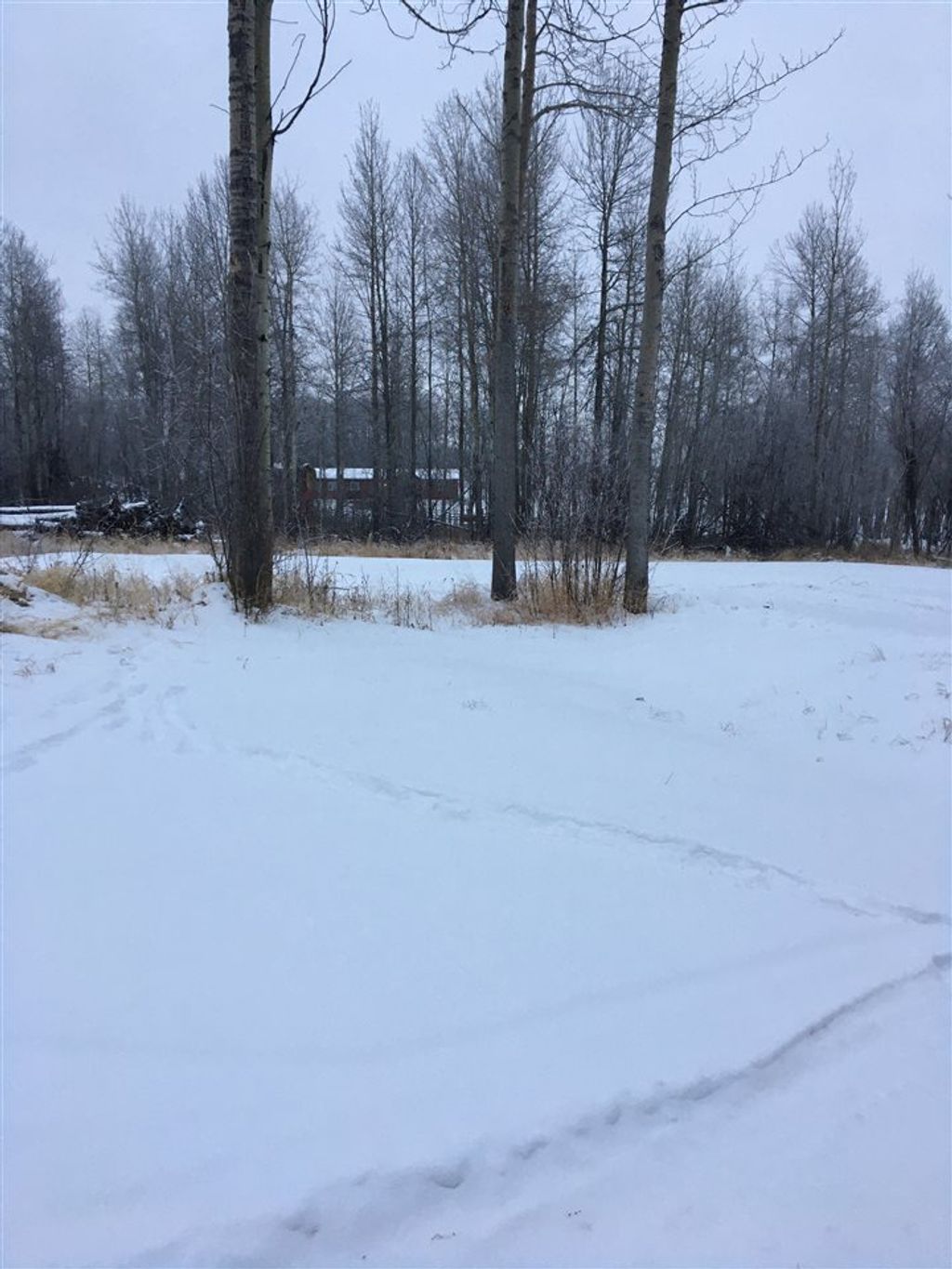 listing image 1104576421338216465