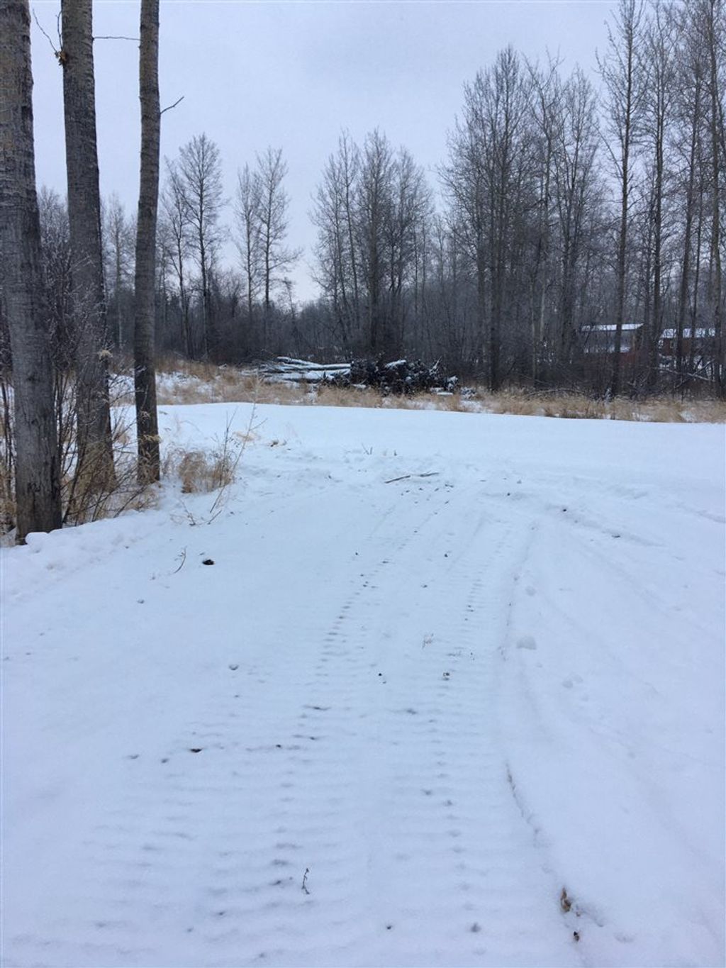 listing image 1109936217757351020