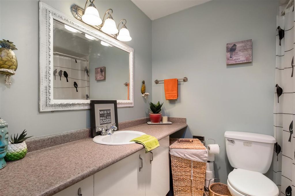 listing image 1104043460520503591
