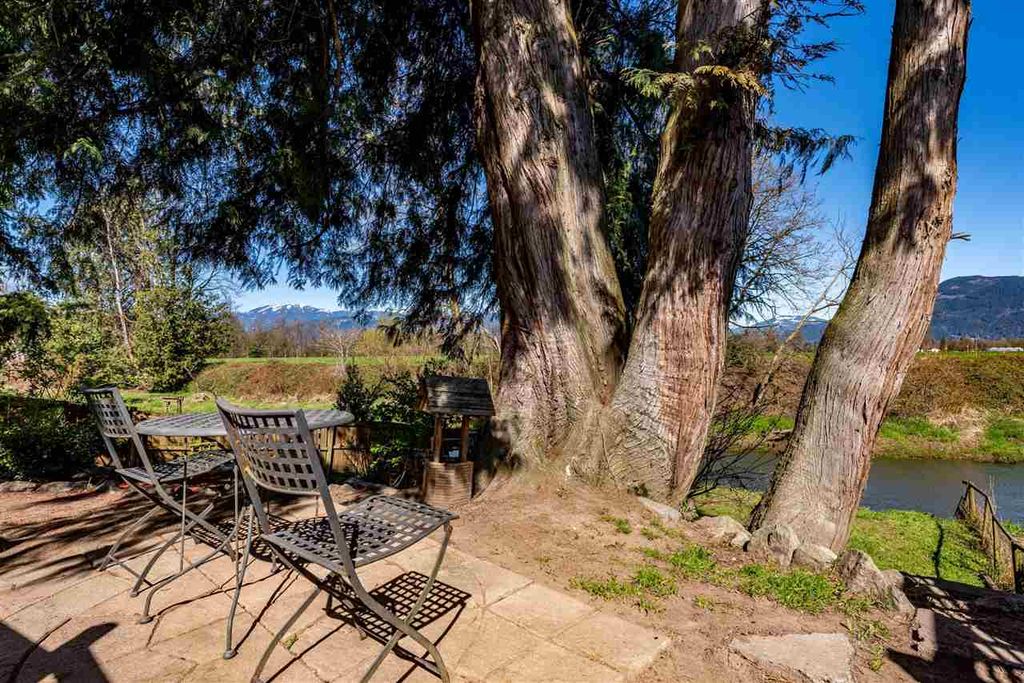 listing image 1100169969970333411