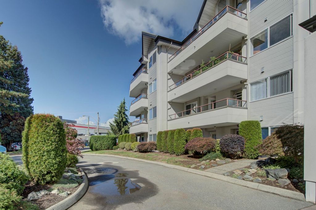listing image 1103392667159393093