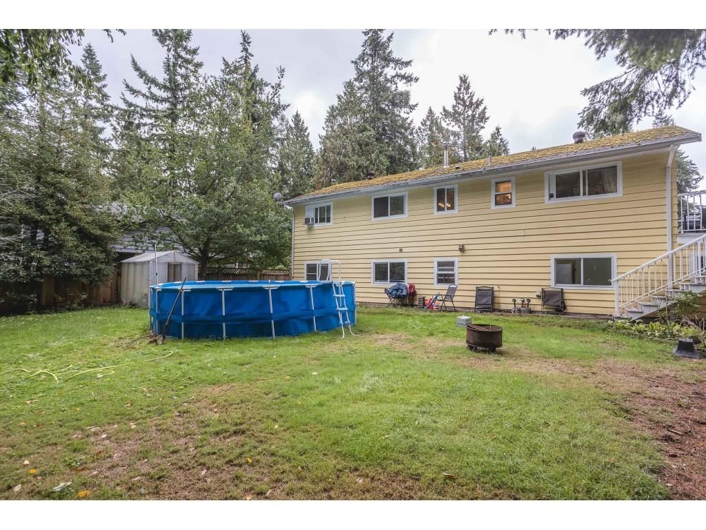 listing image 1101558547834360740