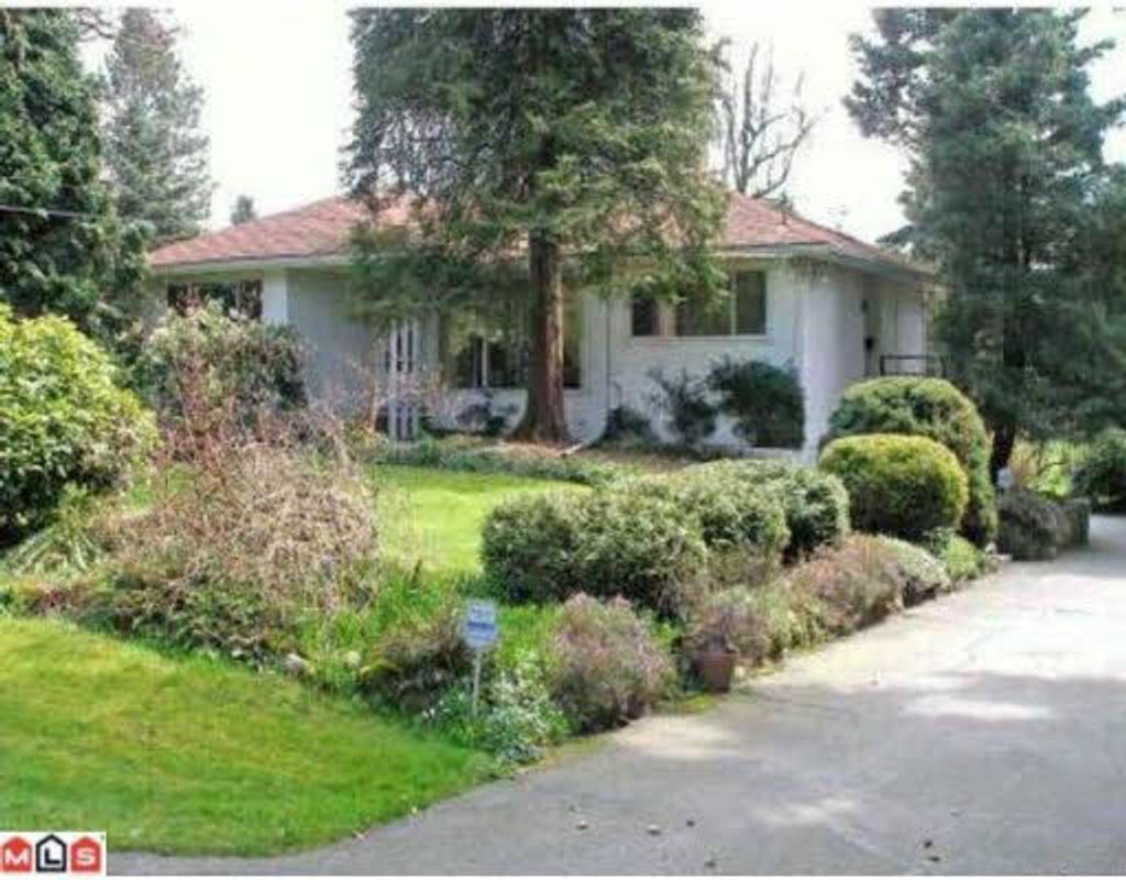 listing image 1105000470589634350