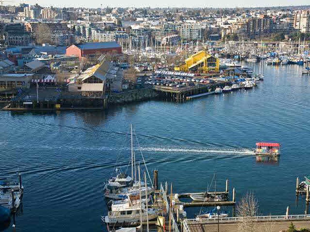 listing image 1106157028203646551
