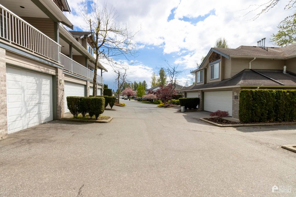 listing image 1101848745102142743