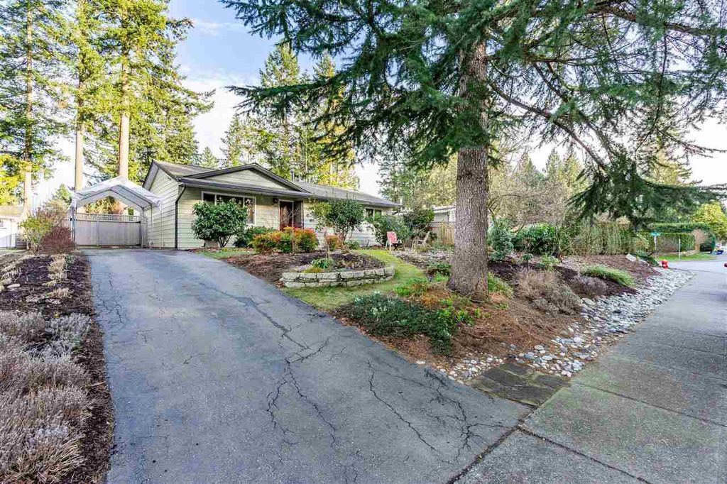 listing image 1108499695233594481