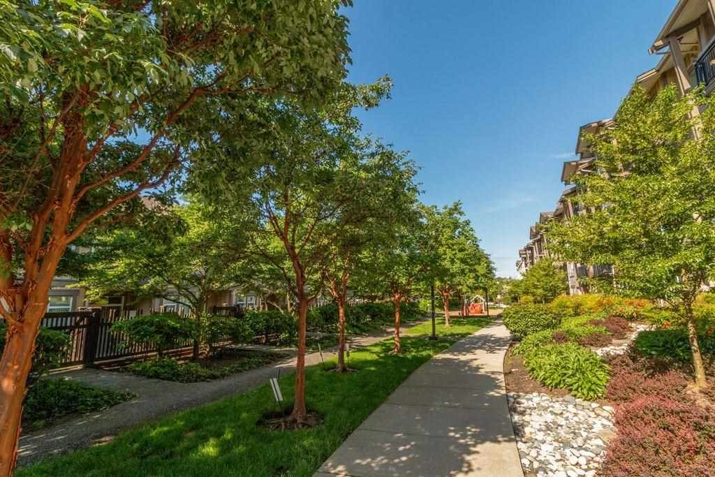 listing image 1106397461288855811