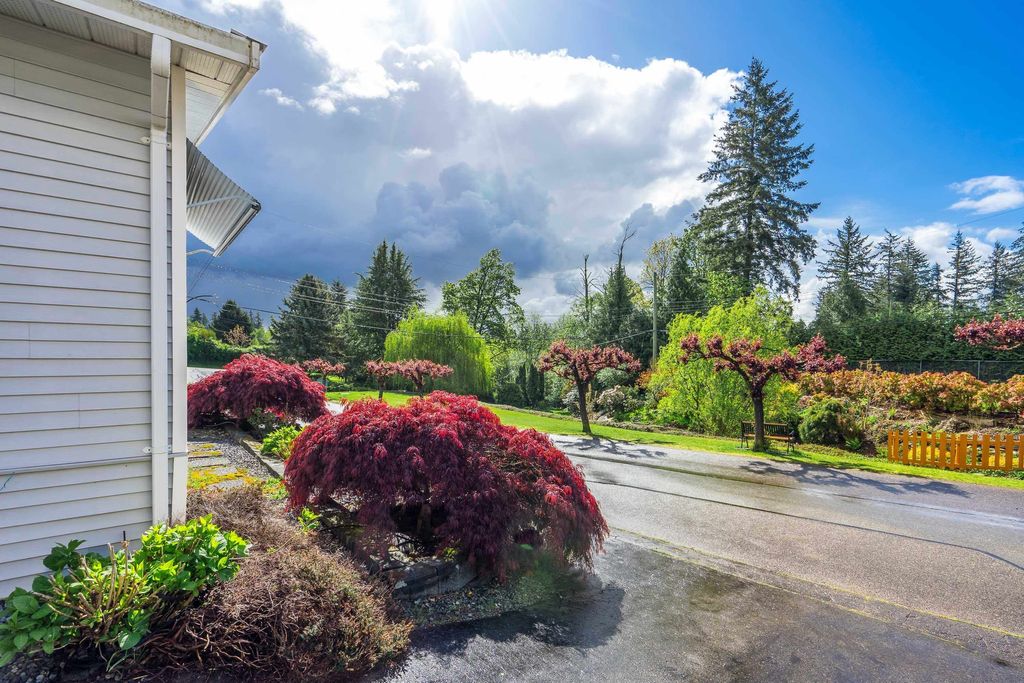 listing image 1108390932328563631