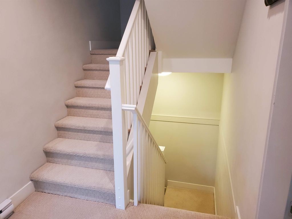 listing image 1103912966128689795