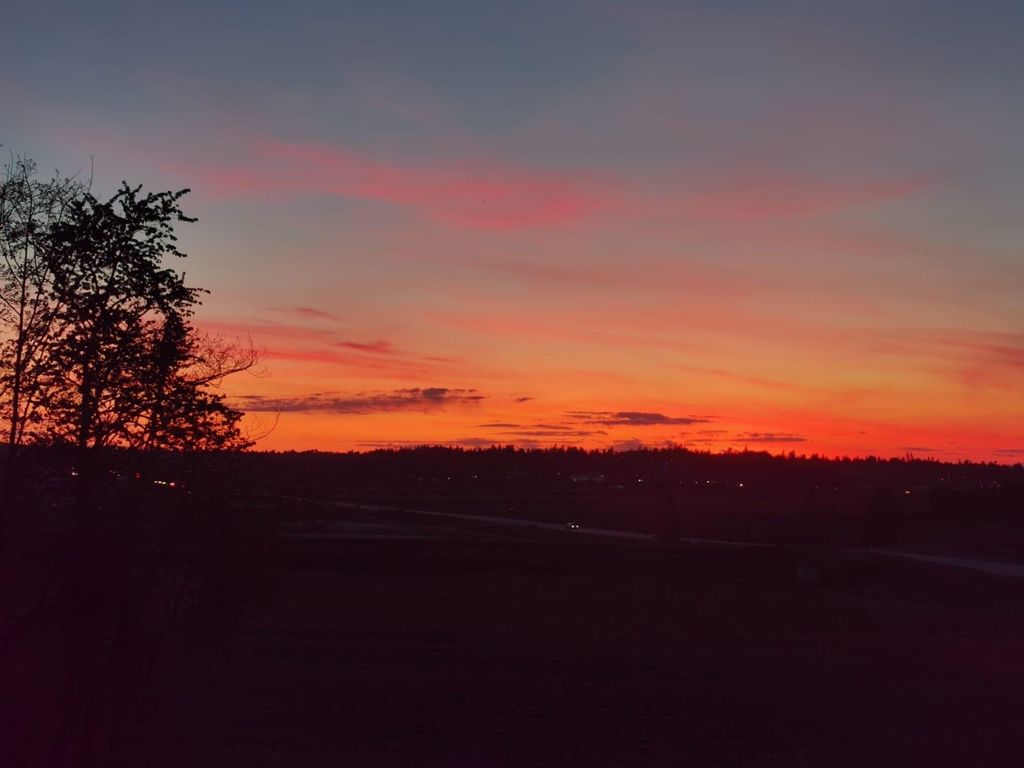 listing image 1102062551817394113