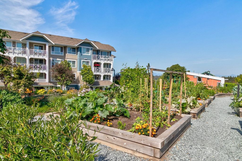 listing image 1104866913043885012