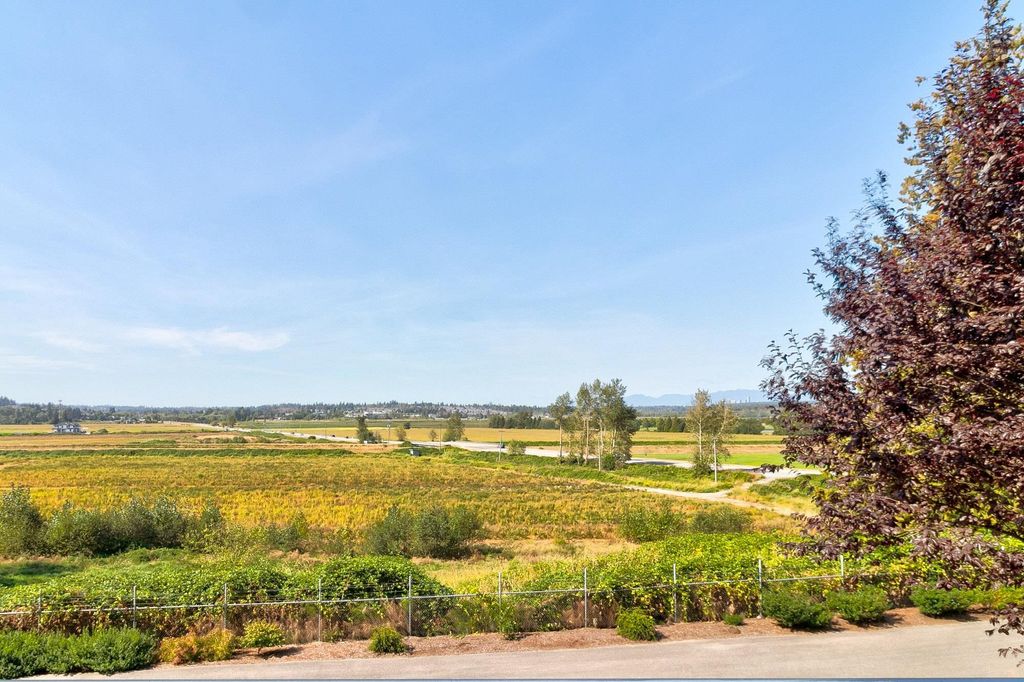 listing image 1101438053545975011