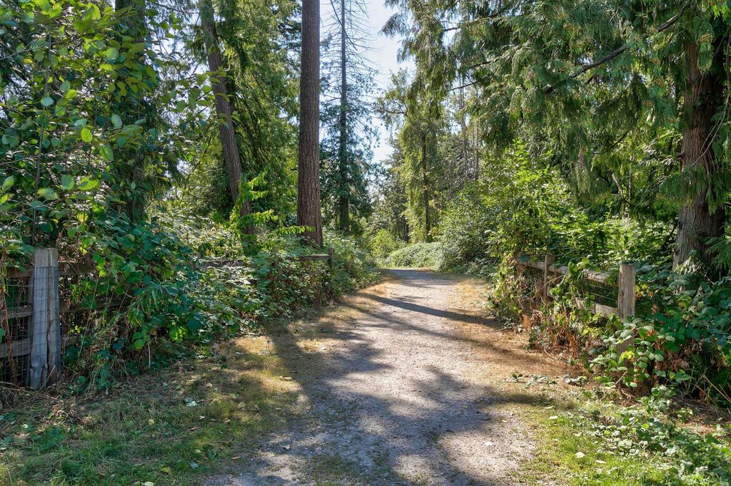 listing image 1101487663350143918