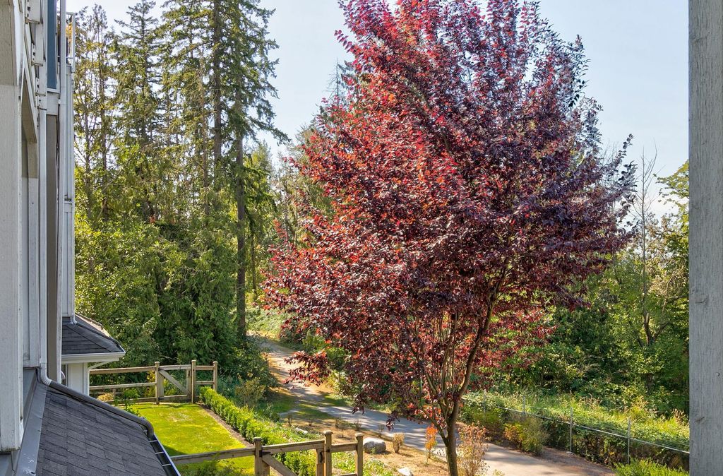 listing image 1102390755868789497