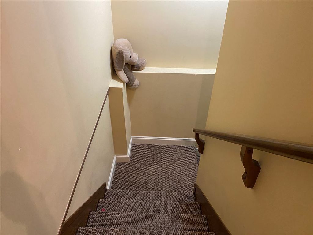 listing image 1108424585189396740