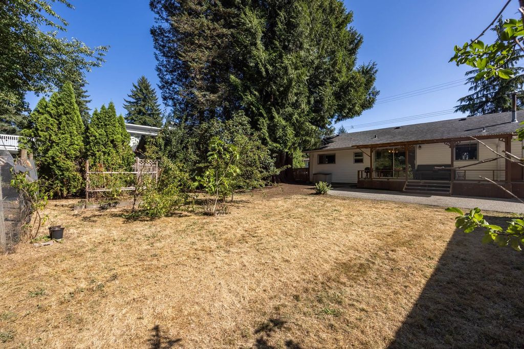 listing image 1108192612019394988