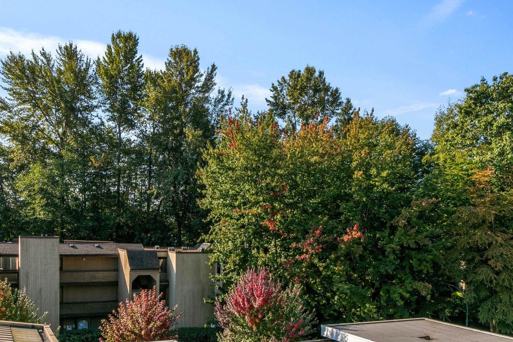 listing image 1101855896793693446