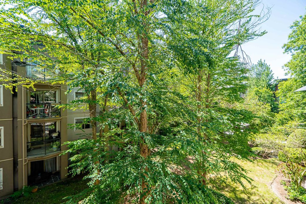 listing image 1100088623992692591