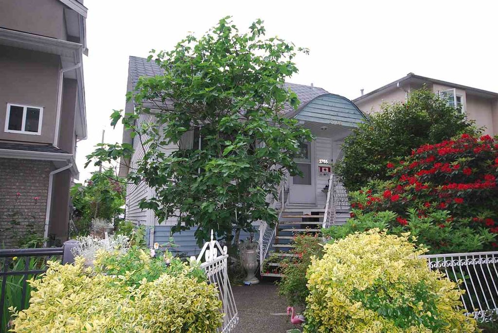 listing image 1103704277757846709