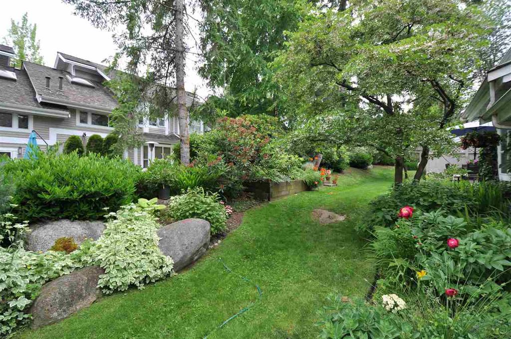 listing image 1104641295739196831