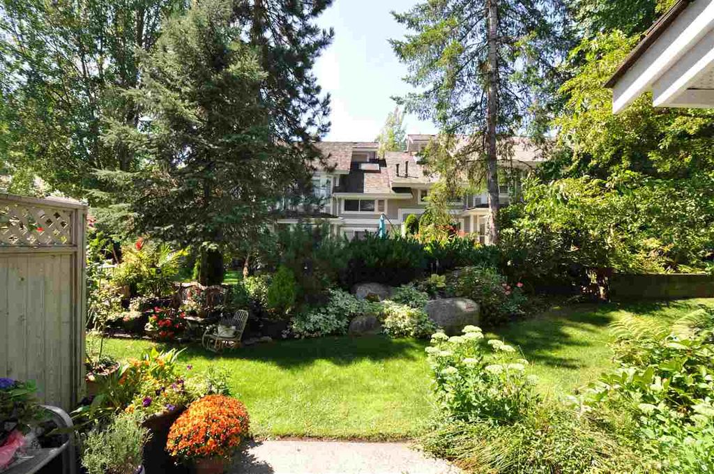 listing image 1104948743026107717